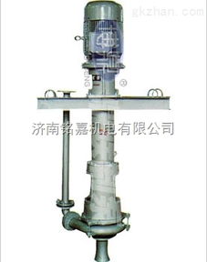 立式污水泵45kw,不銹鋼潛污泵廠家價格